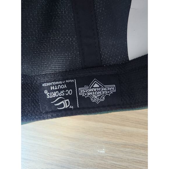 FORT WAYNE TINCAPS Hat Minor League Baseball Cap MiLB Youth Adjustable New wTags - Picture 9 of 10